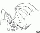 Hiccup and Toothless, the main protagonists of the film How to Train Your Dragon