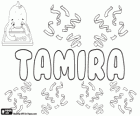Tamira, name of Hebrew origin that comes from Tamar, the date palm