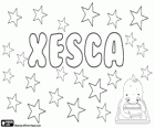 Xesca, variant of the name that comes from Franciscus. Xesca, feminine diminutive of the catalan name Francesca
