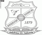 Badge of the Swindon Town F.C. The Robins