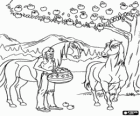Spirit and Little Creek with another horse under an apple tree