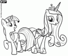 Twilight Sparkle, unicorn pony, and the Princess Cadance, winged unicorn pony