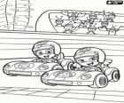 Goby and Oona in their cars ready to start a race