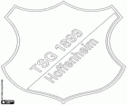 Emblem of TSG 1899 Hoffenheim. Football club from Sinsheim, town in Baden - Württemberg
