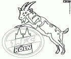 Emblem of 1. FC Köln. Football club from the city of Cologne, North Rhine-Westphalia