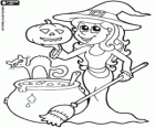 Halloween witch with the cat, the cauldron and the pumpkin