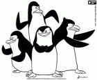 The group of penguins ready for action. Penguins of Madagascar