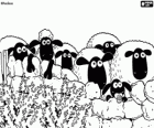 The flock of Shaun the sheep