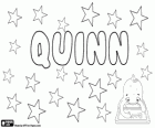 Quinn, name of Gaelic origin, derived from the same surname