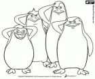 The penguins of Madagascar and the military salute