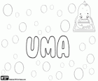 Uma, name with different origins and different meanings. Uma, name of a hindu goddess. Uma, name of Hebrew origin