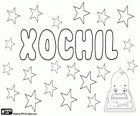 Xochil, variant of the nahuatl name Xochilt. Its meaning is flower