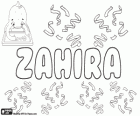 Zahira, name of Arabic origin. Its meaning is brilliant