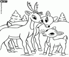 The little reindeer with the red nose, Rudolph with his father and his mother