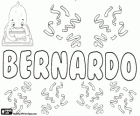 Bernardo, Latin form of the Germanic name Bernhard. Its meaning is strong as a bear. Bernardo, male name in Spanish, Portuguese and Italian