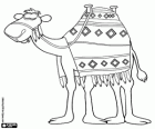 A camel ready for the journey to Bethlehem