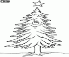 A fir in the forest that is happy when it becomes a Christmas tree with the star