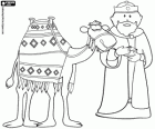 Balthazar, the youngest king with his camel