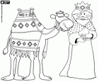 Melchior, the oldest king with a camel