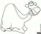 A camel with eyes closed