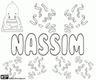 Nassim, name of Arabic origin. Its meaning is breeze. The Arabic name is usually written also as Nasim, Nacim, Nassem, Nesim or Nessim in the Latin alphabet