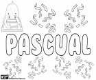 Pascual, child of Latin origin name. Comes from Paschalis, whose meaning is relative to Easter