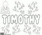Timothy, English name of Greek origin. Derived from the Greek name, Timotheos. Its meaning is honored by God or in the honor of God