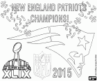 New England Patriots, 2015 Super Bowl champions. The final result of the game against Seattle Seahawks has been 28 - 24. The quarterback Tom Brady has been named MVP of the final