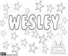 Wesley, name of English origin, with various origin. Short form of the name Wesleydale