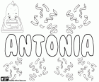Antonia, name derived from the Latin Antonius. Antonia, female form of Antonio. Name existing in many languages