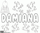 Damiana, name of Latin and Greek origin. Derived from the Latin Damianus which comes from the Greek Damianos. Feminine form of Damian