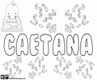 Caetana, name of Latin origin. Female name which corresponds to Caetano. Derived from the Latin name, Caietanus