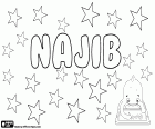 Najib, male name of Arabic origin. Its meaning is noble and distinguished. Other variants of the name are Nagib, Nageeb and Najeeb