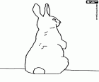 A standing rabbit on the hind legs to control the territory, seen from behind