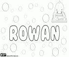 Rowan, irish and english name. Rowan, name for boy that is used also for girl