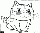The mascot of Tip is a cat with a curious name, the cat is called Pig
