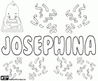Josephina, english name, diminutive of Josepha. Josepha, female form of Joseph in English