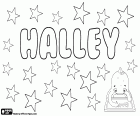 Halley, name used for both girl and boy. Halley, name with various origins. Halley, variant of Hallie and Harriet. Halley is also an English surname