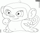 Mynci, one of the species that live in Neopia. The Myncis are very mischievous monkeys who spend jokes to the other Neopets