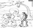 The four protagonists animals of Madagascar 2: Escape to Africa. Alex the Lion, Marty the Zebra, Melman the Giraffe, Gloria the Hippopotamus in the African savanna