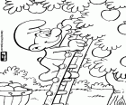 A Smurf with a ladder during the harvest of apples