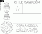 The national team of Chile was proclaimed champion of the Copa America of 2015. The match and the extra time ended 0-0 on the scoreboard. Chile defeated Argentina's national team at the penalty shootout