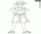 Captain Monkey D. Luffy with his famous hat of straw on his head in One Piece New World