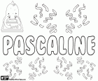 Pascaline, French name for girls. Pascaline, variant of Pascale, female form of Pascal. All of these are names derived from the Latin Paschalis which means Passover, related with Easter