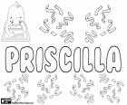 Priscilla, variant of Priscila, Priscille and Pryscylla. Priscilla, name for girl of latin origin. Priscilla, Biblical name, character of the New Testament