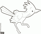 The Roadrunner, a bird of fast running