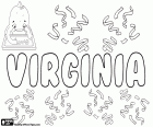 Virginia, female name of Latin origin, derived from Virginius. Virginia or Verginia, character from Roman mythology