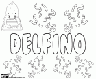 Delfino, a name derived from the Latin name Delphinus, which comes from the Greek word delphis meaning Dolphin