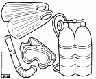 The basic equipment for the practice of diving