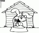A big-eared dog is happy in its little wooden house and with the plate of food